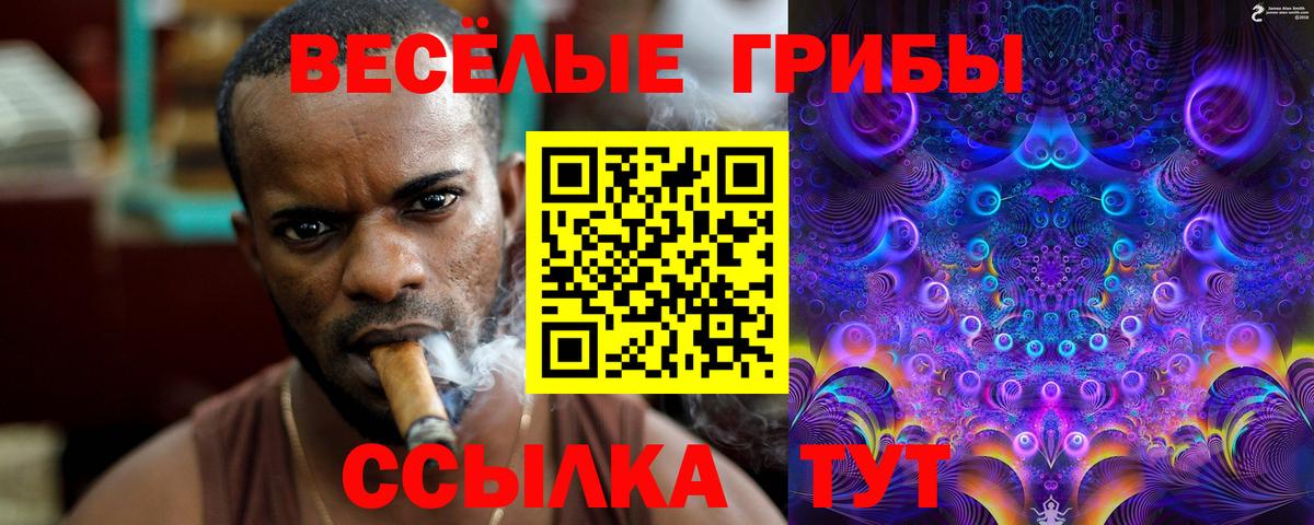 Галлюциногенные грибы Cubensis  Вход с VPN  Елизово 